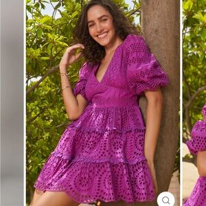 Cynthia Rowley Layered Eyelet fit and flare dress NWT Medium—fully lined